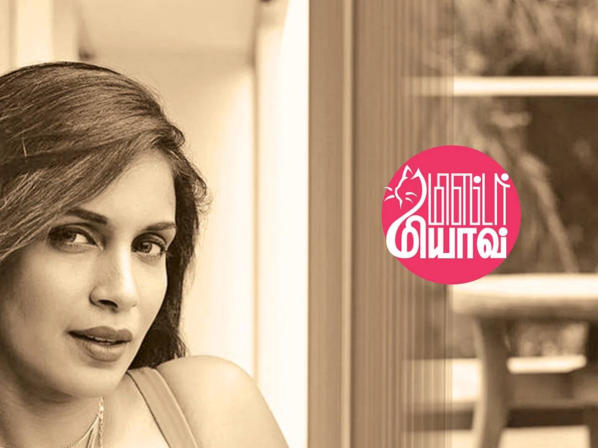 மிஸ்டர் மியாவ்