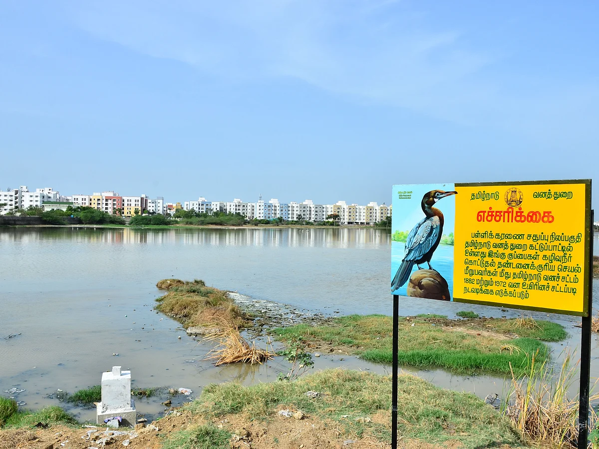 `பள்ளிக்கரணை ஒன்றும் கார்ப்பரேஷன் நீர்த்தொட்டியல்ல!' - அரசின் முடிவுக்கு வலுக்கும் எதிர்ப்பு... ஏன்?