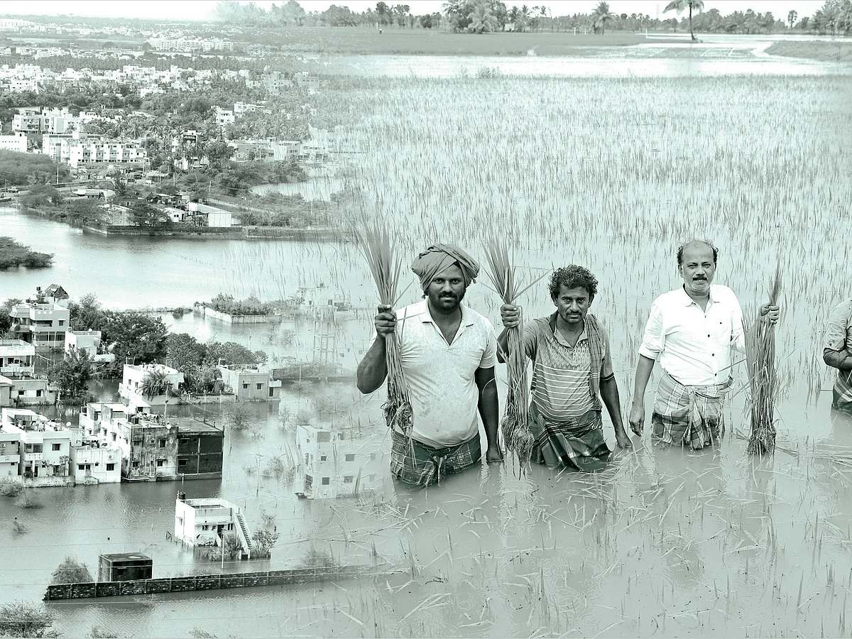 புரெவி புயல் ஆல்பம்