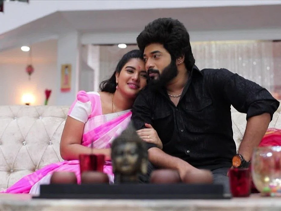 `செம்பருத்தி’ சீரியலில் இருந்து ஹீரோ கார்த்திக் விலகினாரா... விலக்கப்பட்டாரா?!