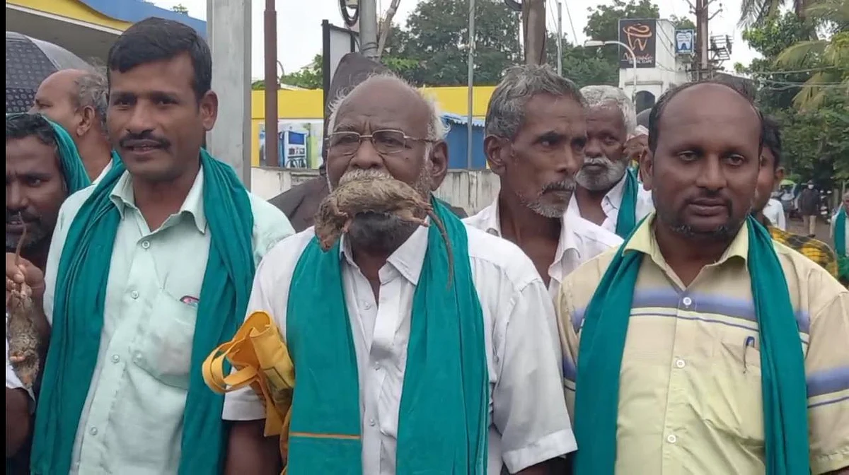 எலிக்கறி தின்னும் போராட்டம்