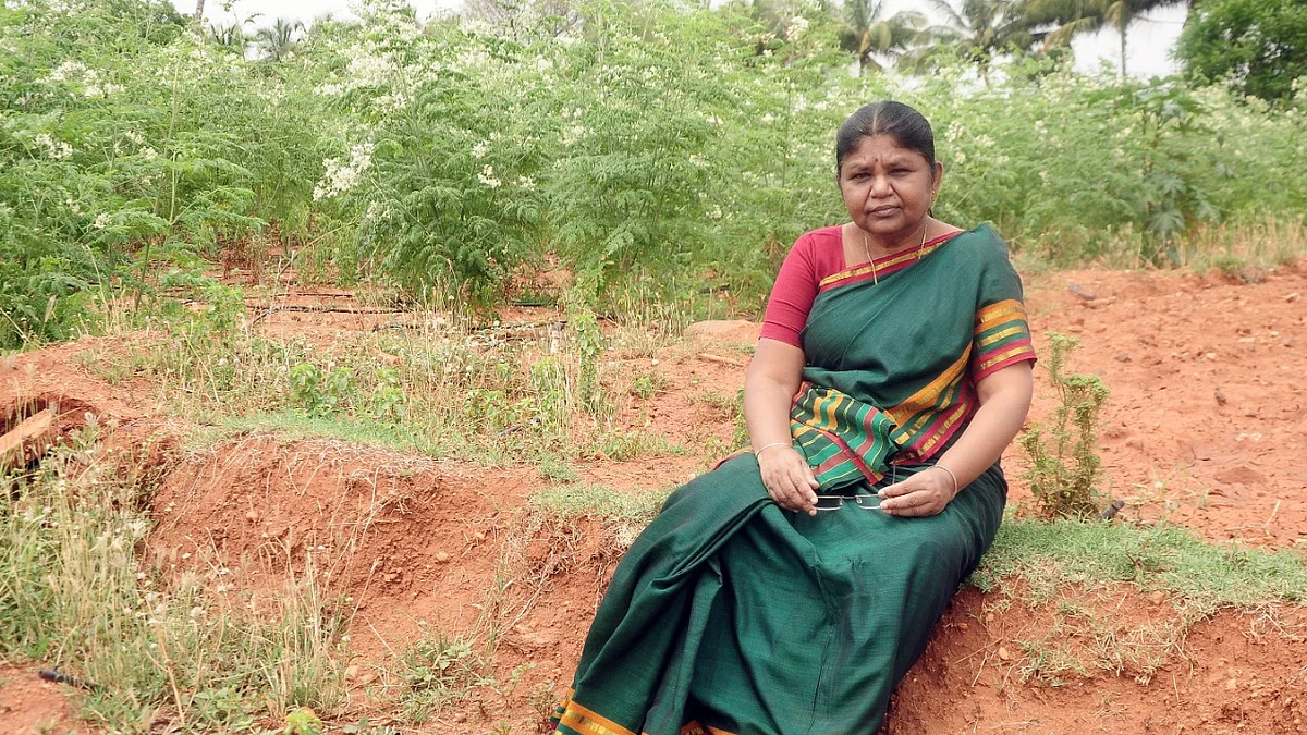 பாலபாரதி