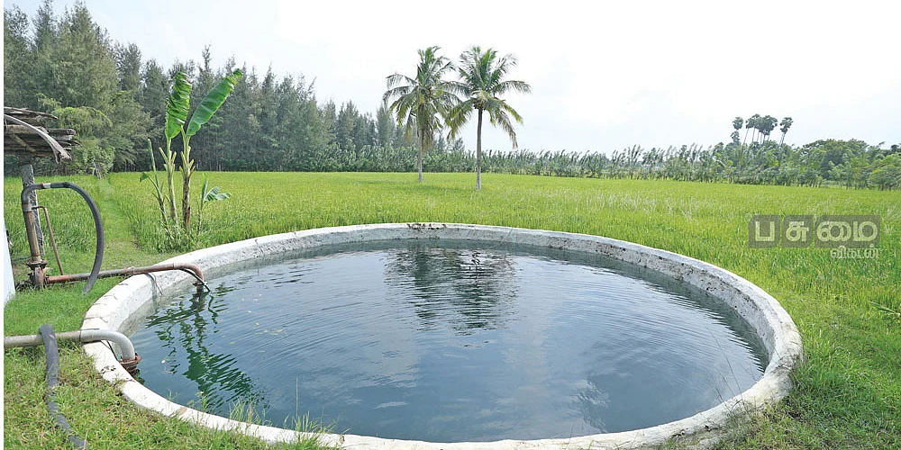 விவசாய நிலத்தில் நிரம்பியிருக்கும் கிணறு