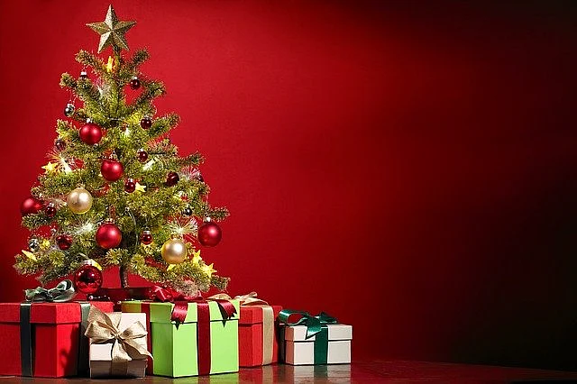 Christmas craft