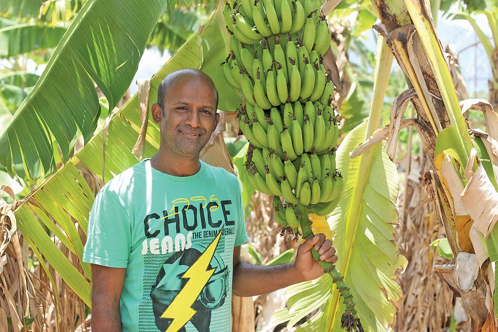வாழைத்தோட்டத்தில் சுரேஷ்