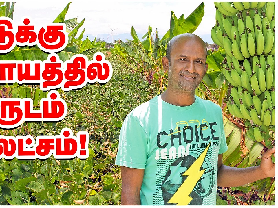 Zero Budget multilayer farming-ல் வருடம் ₹20 லட்சம் வருமானம்!