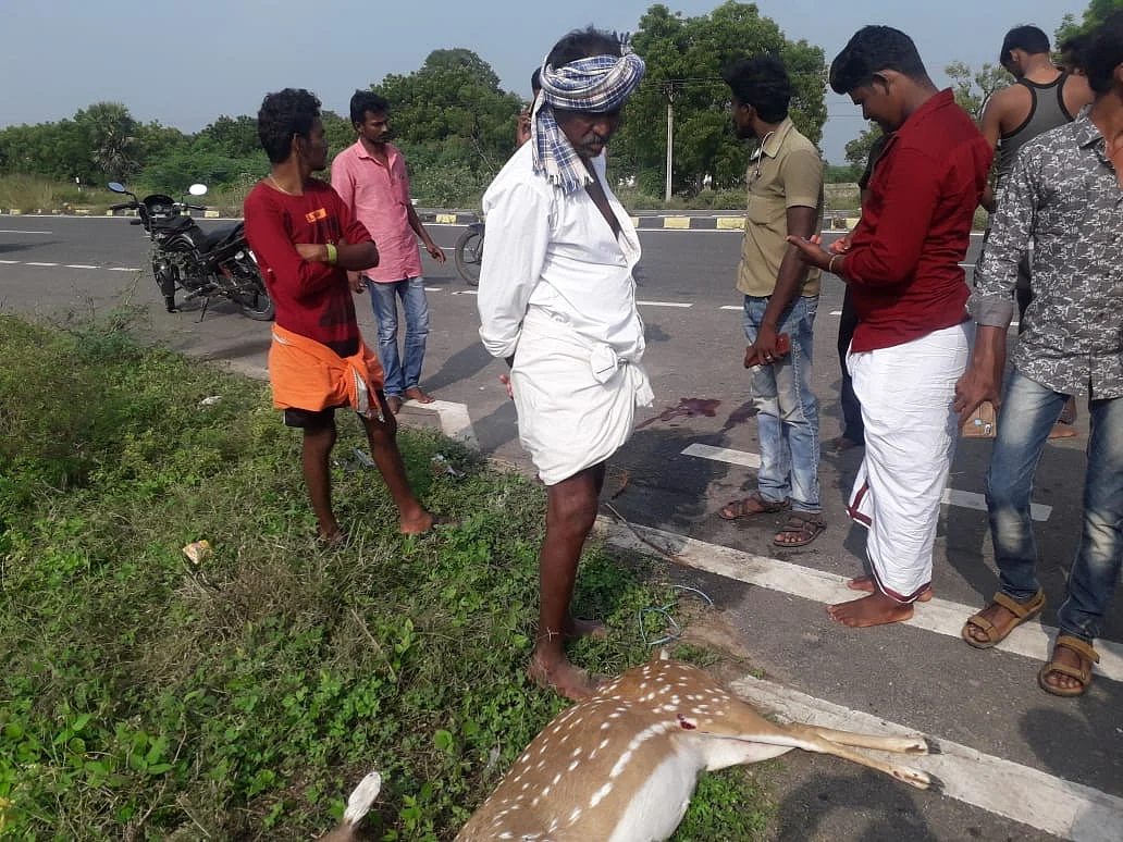 கடந்த வாரம் பலியான மான்