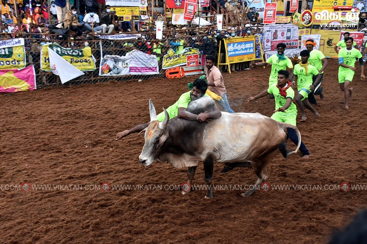 பாலமேடு