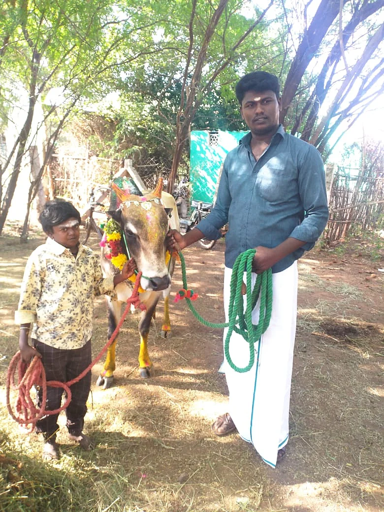 சின்னக்கருப்பு ஜல்லிக்கட்டு மாடுடன்