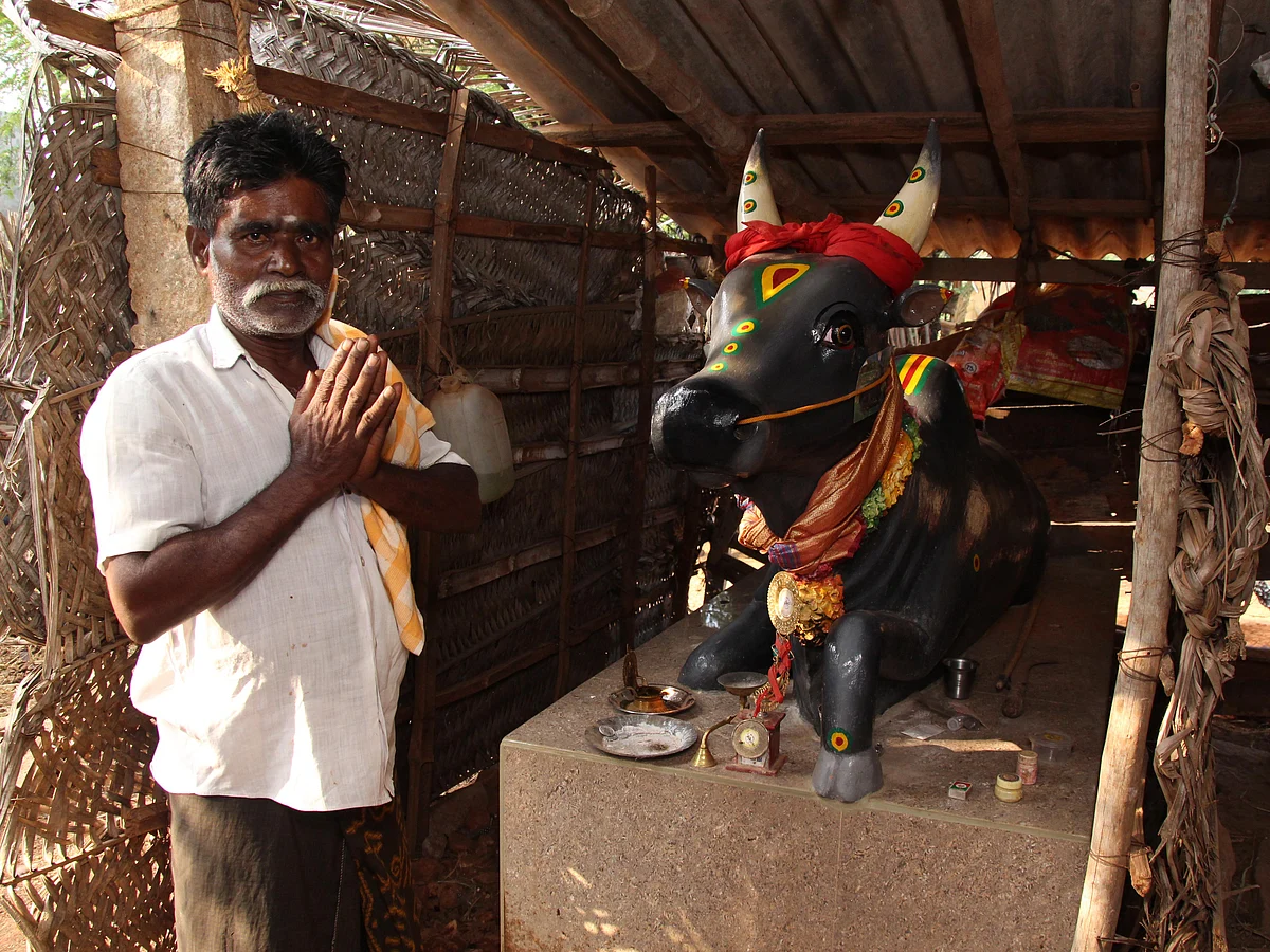 காளை சிலையுடன் சந்திரசேகர்