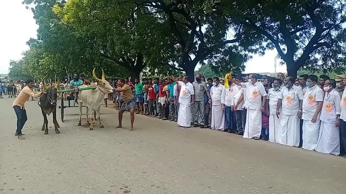 மாட்டுவண்டிப் பந்தயம்