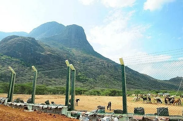 நியூட்ரினோ