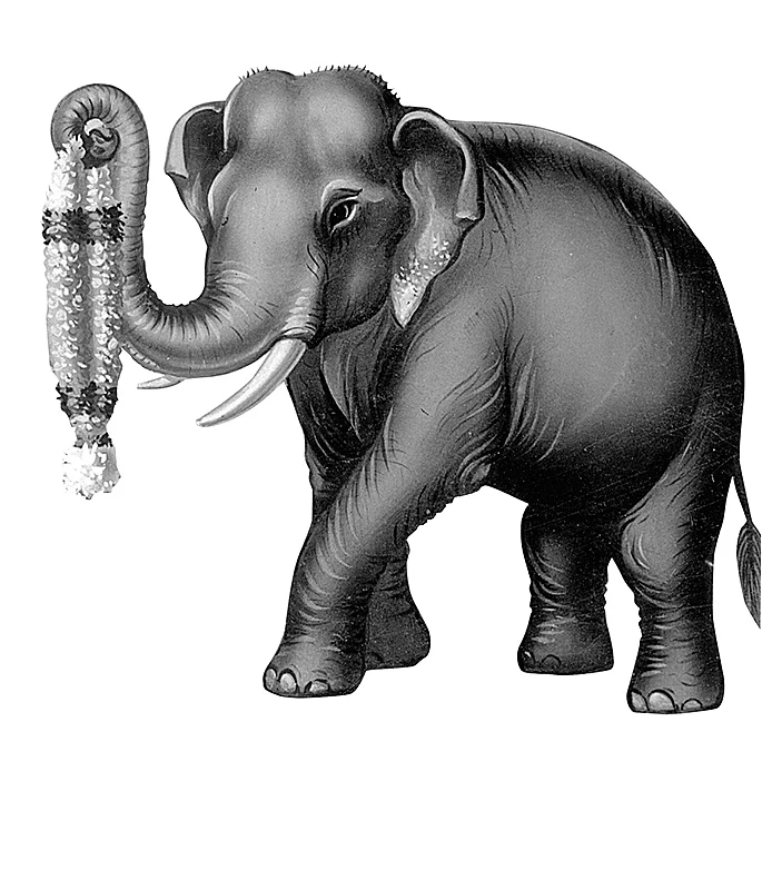 கந்தன் வந்தான்!