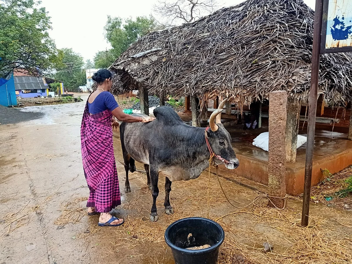 செல்வராணி