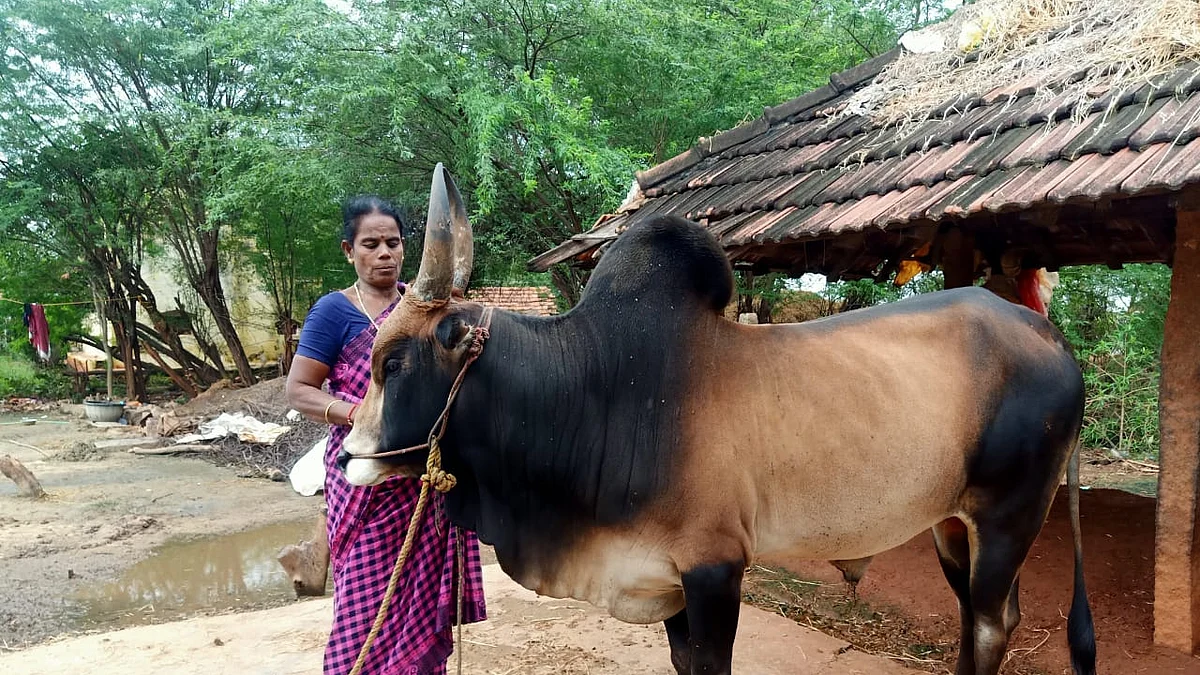 செல்வராணி