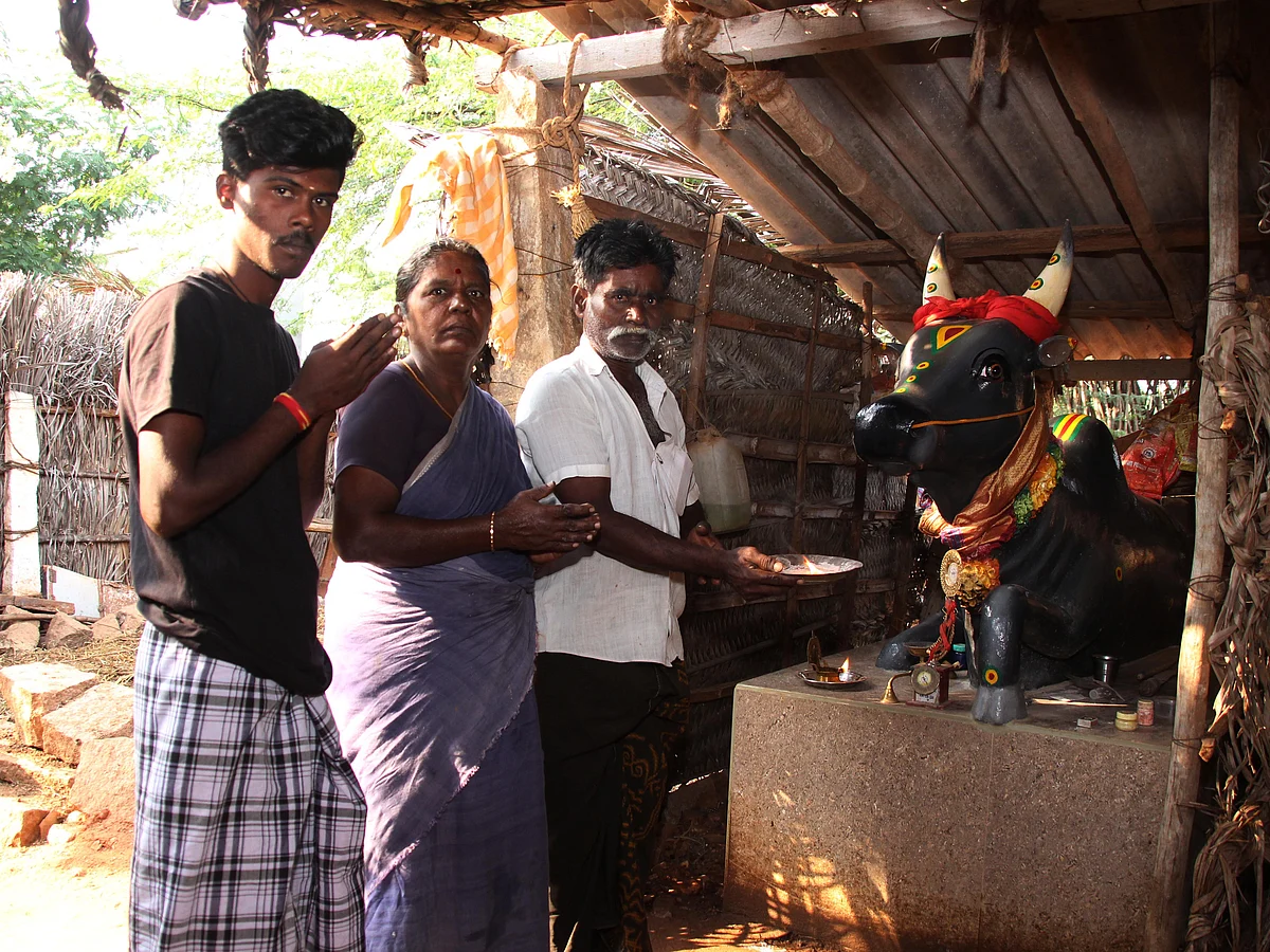 ''களத்துல வீரமும், கட்டுத்தரையில் பாசமும்!'' காளைக்கு சிலைவைத்து வழிபடும் குடும்பம்!