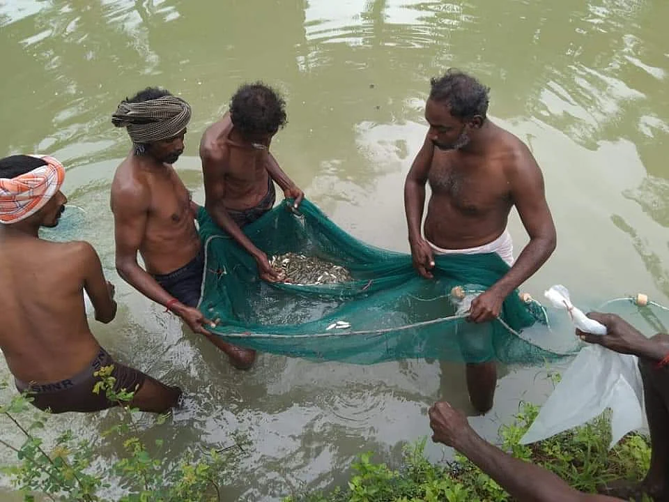 கண்மாய் மீன் பிடிப்பு