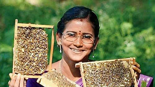 ஜோஸ்பின்