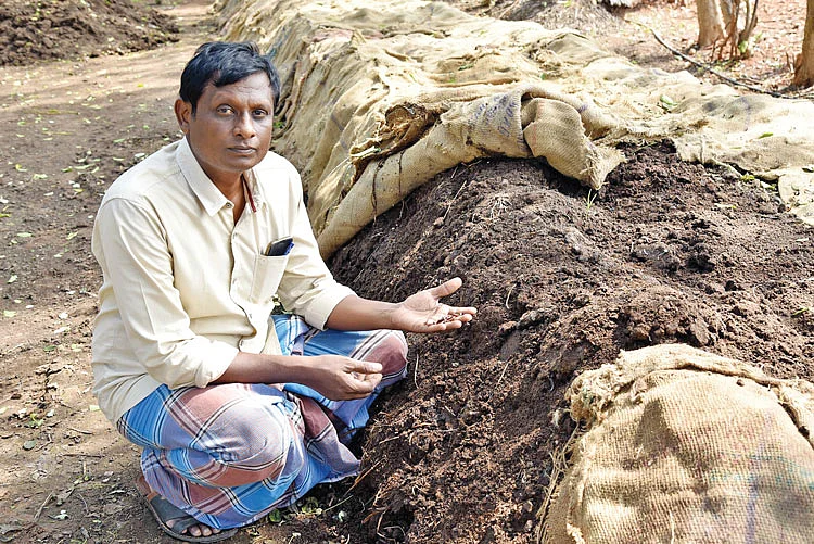 மண்புழு உரம்