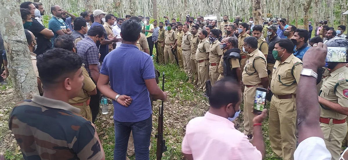 புலியைத் தேடும் குழு