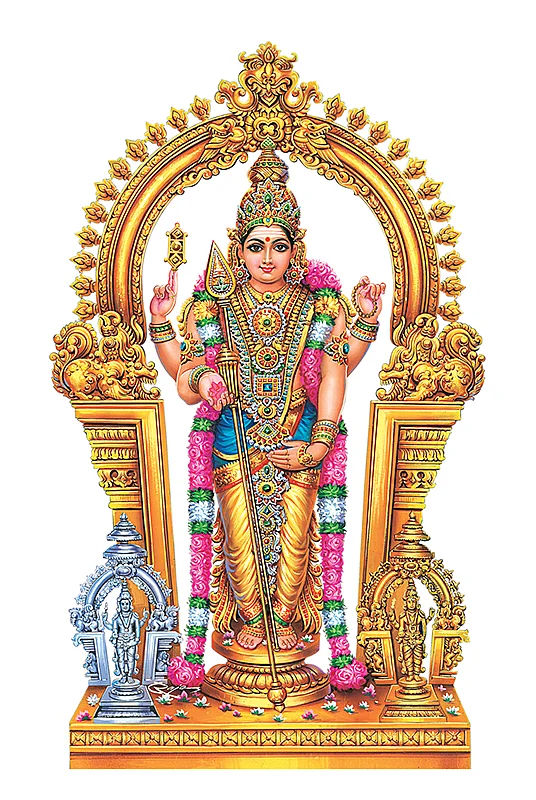 கேள்வி பதில்