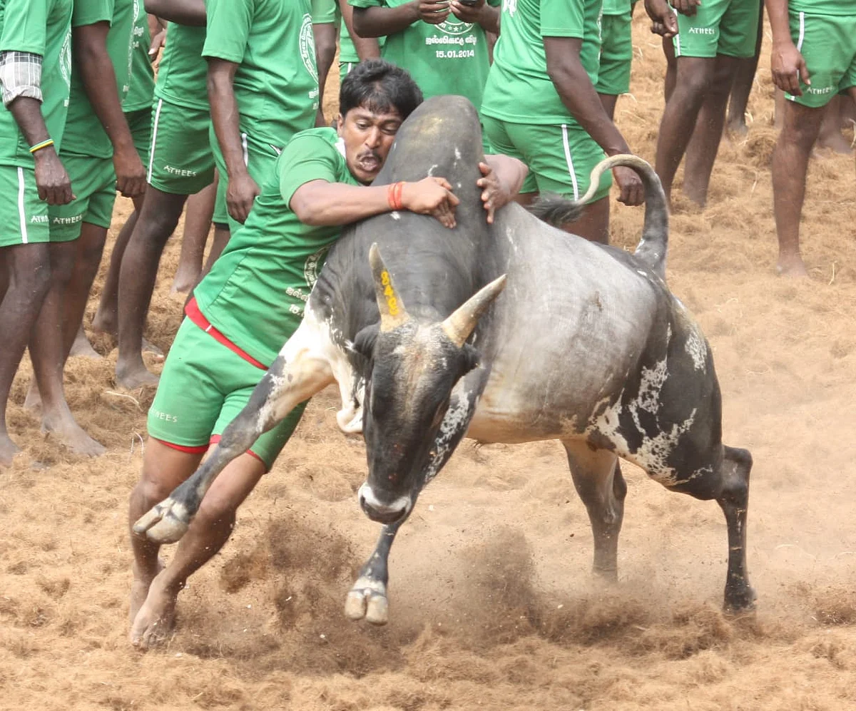 முடக்கத்தான் மணி