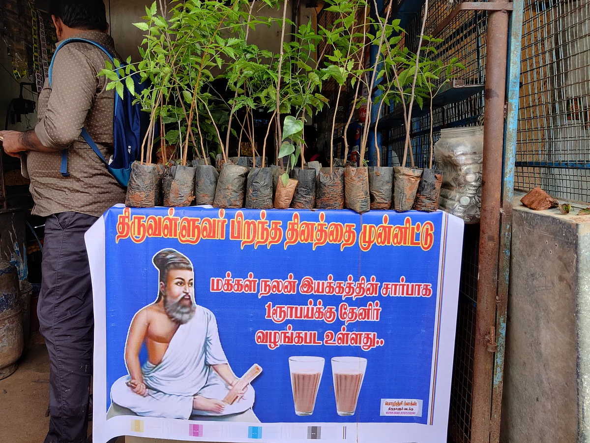 திருவள்ளுவர் தினத்தில் வழங்கப்பட்ட மரக் கன்றுகள்