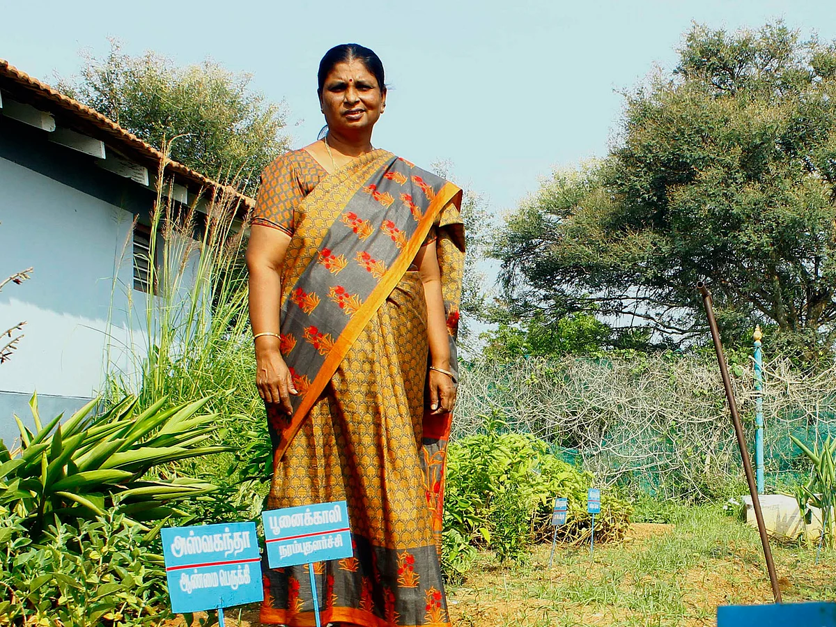 இது ஆரோக்கியம் விளையாடும் வீடு! - இயற்கை வாழ்வியலில் அசத்தும் மஞ்சு