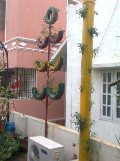 பக்கவாட்டில் விளையும் பயிர்கள்