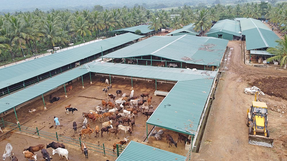 வெளிப்புறத் தோற்றம்