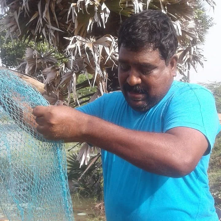 விரால் மீன் பிடிப்பு