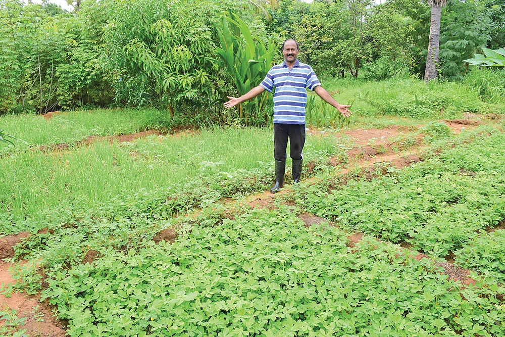 பண்ணையில் டாக்டர் சிவகுமார்