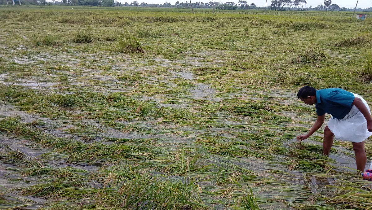 மழை