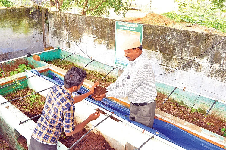 350 ஆடுகள்... 355 கோழிகள்... மாதம் ரூ.2,18,000 லாபம்!