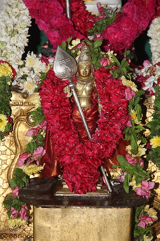 ‘ஒன்பது செவ்வாய் பாலபிஷேகம்!’