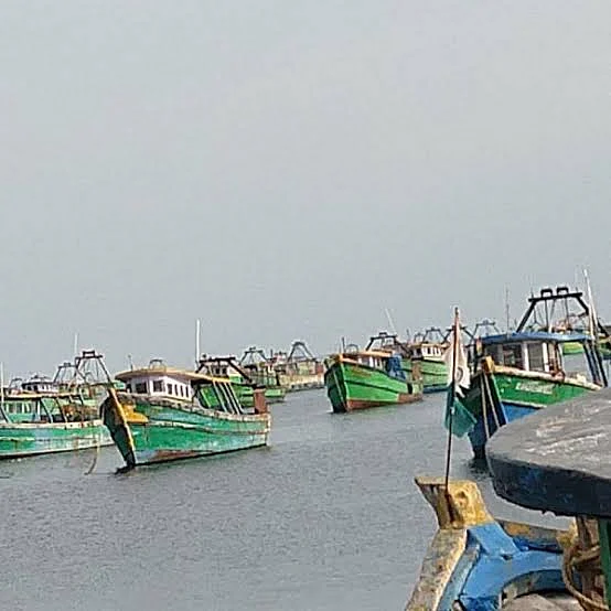 மீன்பிடிப் படகுகள்