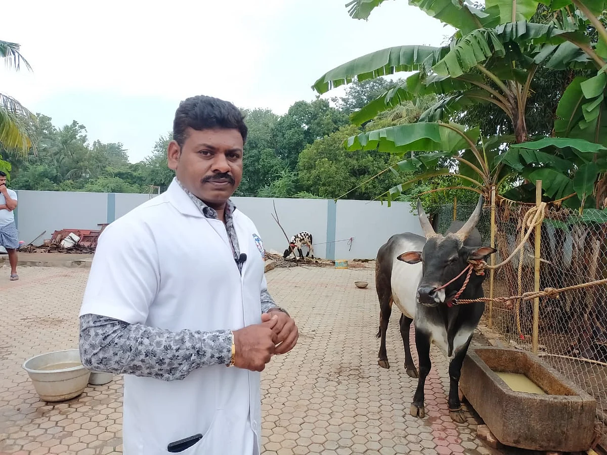 ''அமைச்சர் காளைக்கு நான்தான் டாக்டர்'' - மதுரை ’ஜல்லிக்கட்டுக் காளை’ ஸ்பெஷலிஸ்ட் மெரில் ராஜ்!