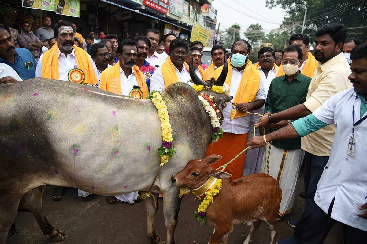 பாலமேடு ஜல்லிக்கட்டு தொடக்கம்