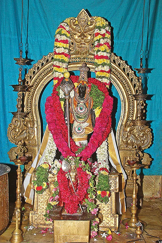 ‘ஒன்பது செவ்வாய் பாலபிஷேகம்!’