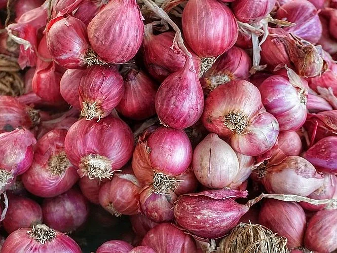 வெங்காயம்
