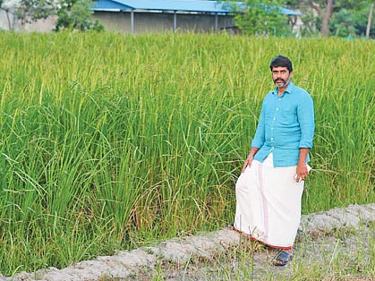 ரூ.10 லட்சம்... பாரம்பர்ய நெல் சாகுபடி கொடுக்கும் பெருமைமிகு லாபம்!