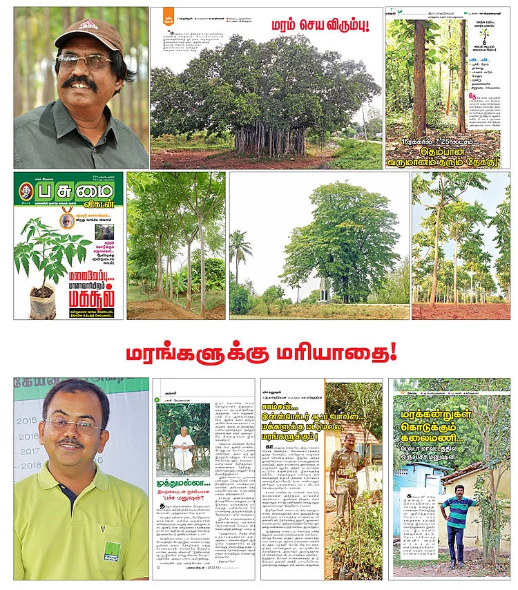 சாதனை-14 : ‘மரப்பயிரும் பணப்பயிரே!’