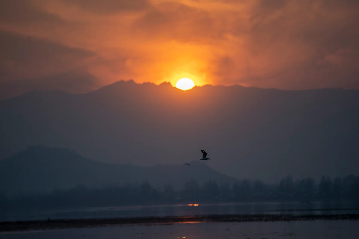 Birds fly over the Dal Lake as the sun sets in Srinagar