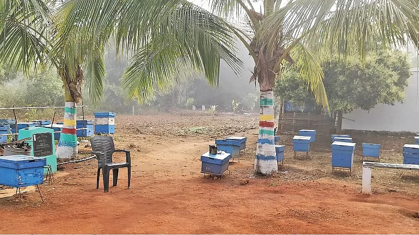 தேனீ வளர்ப்பு