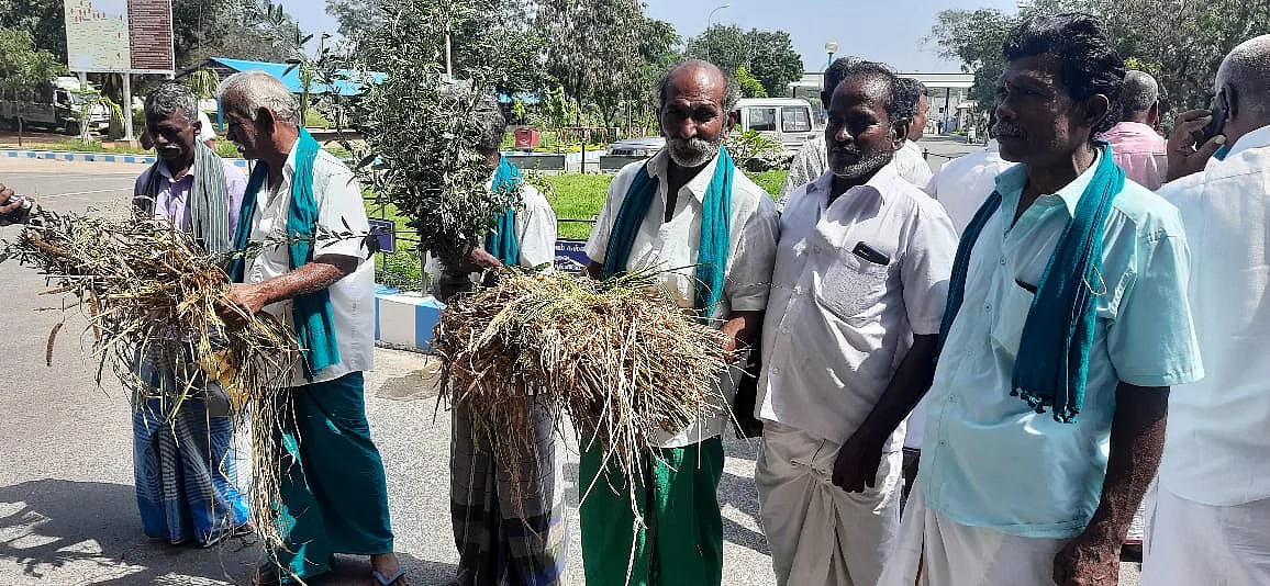 மழையால் பாதித்த பயிருடன் விவசாயிகள்