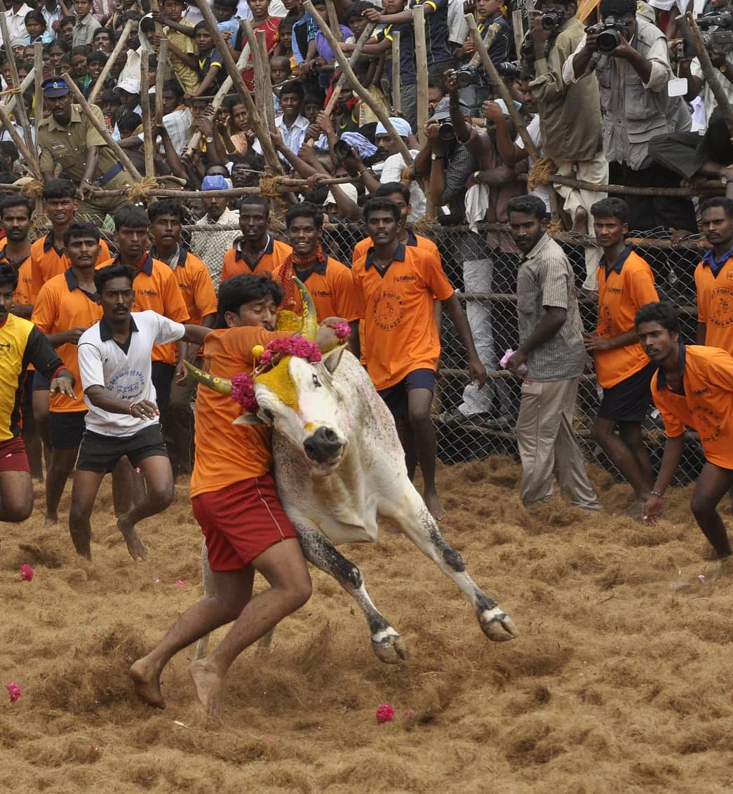 முடக்கத்தான் மணி