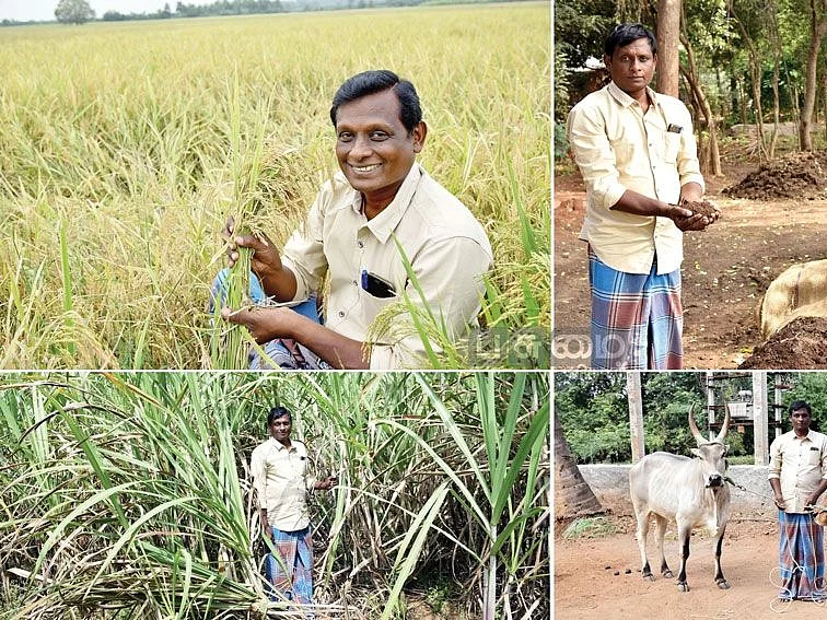 மாதம் ரூ.50,000... பலே வருமானம் கொடுக்கும் பஞ்சகவ்யா சோப் + மண்புழு உரம்!