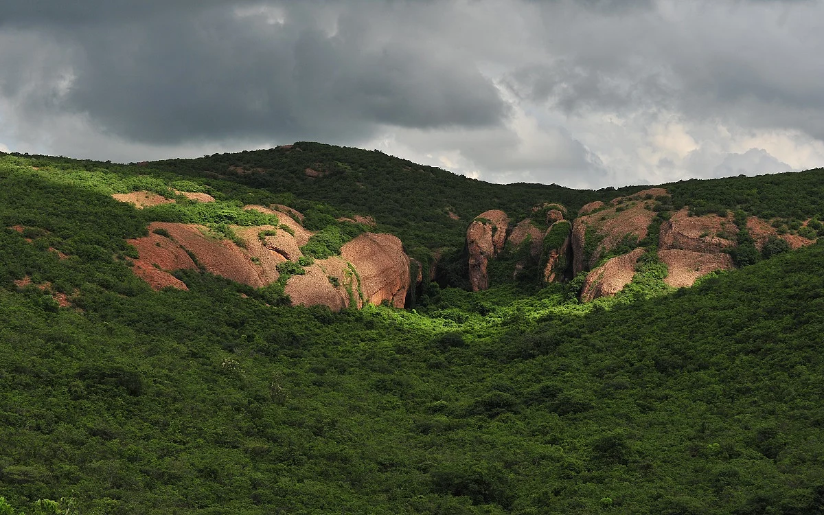 கூடியம் குகைகள்