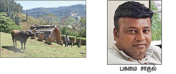 மரத்தடி மாநாடு: பண்ணைக்
கருவிகளை மறந்த பல்கலைக்கழகம்!