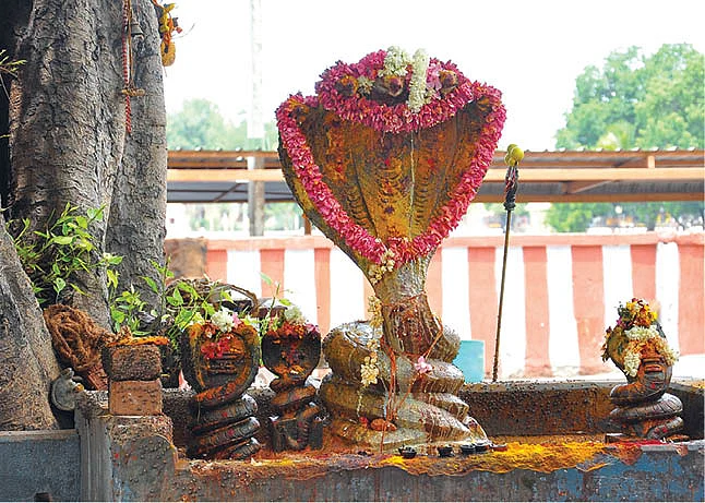 நாகர் சந்நிதி
